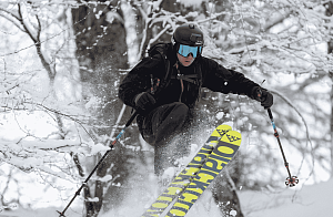 Владимир Черныш