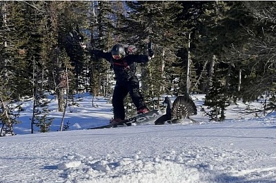 Осторожно, звери: глухарь напал на сноубордиста в Шерегеше 