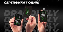 Лучший подарок – сертификат Dragonfly 